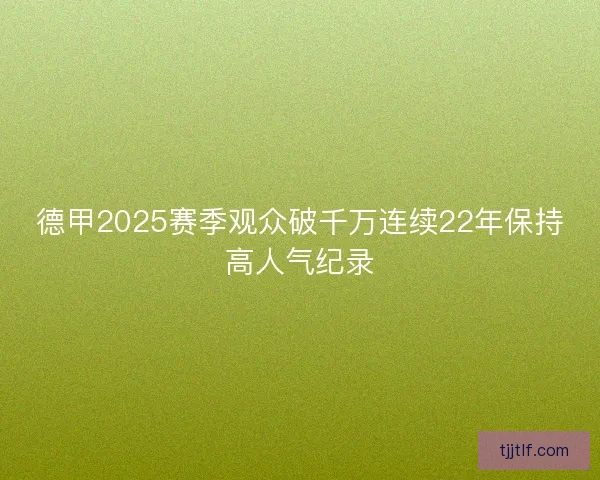 德甲2025赛季观众破千万连续22年保持高人气纪录